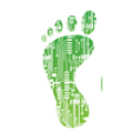 IT E-Commerce Retailer