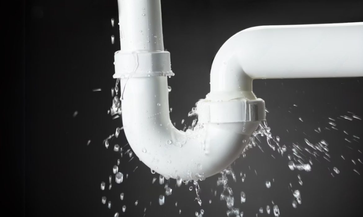 Your Website Is Leaking Money—Every Day! Here’s How to Plug the Leak and Boost Your Revenue!