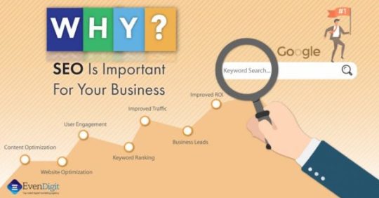 Why SEO Is Important For Your Website?